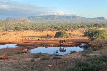 Discovery Wilderness Trust